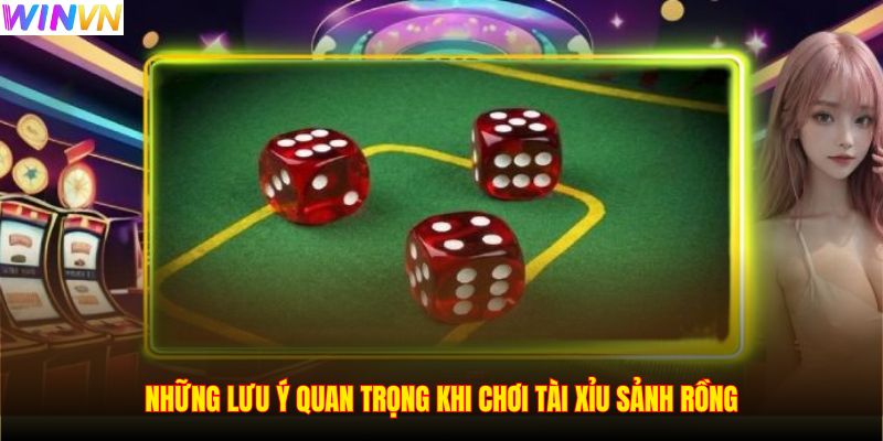 Những lưu ý quan trọng khi chơi Tài Xỉu Sảnh Rồng