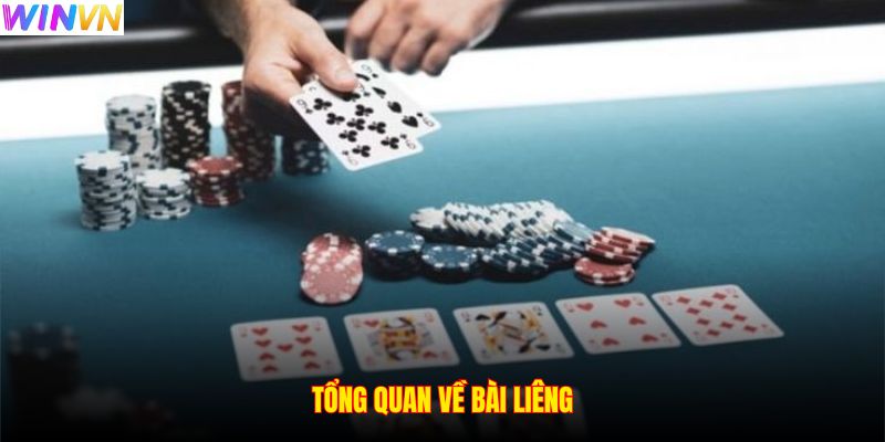 Tổng quan về bài Liêng