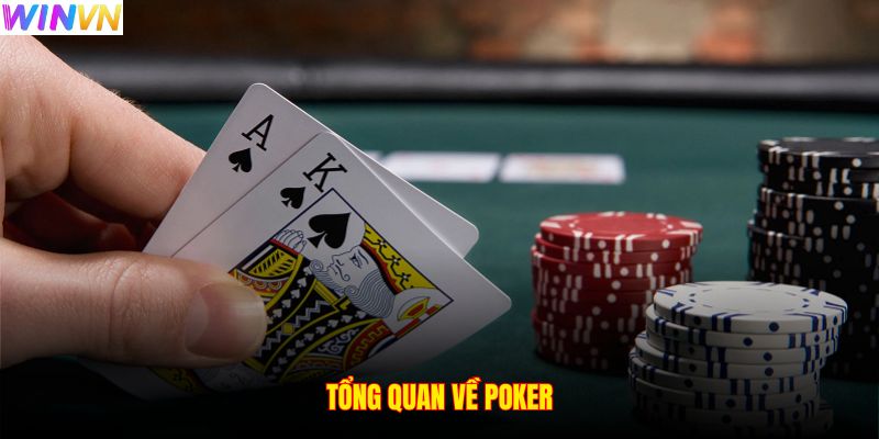 Tổng quan về Poker
