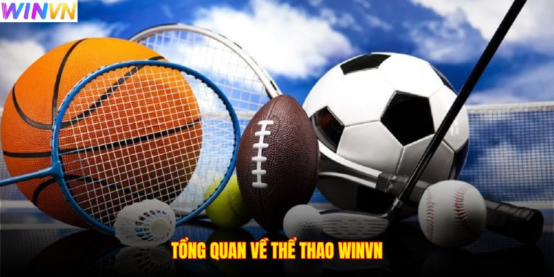 Tổng quan về thể thao WINVN